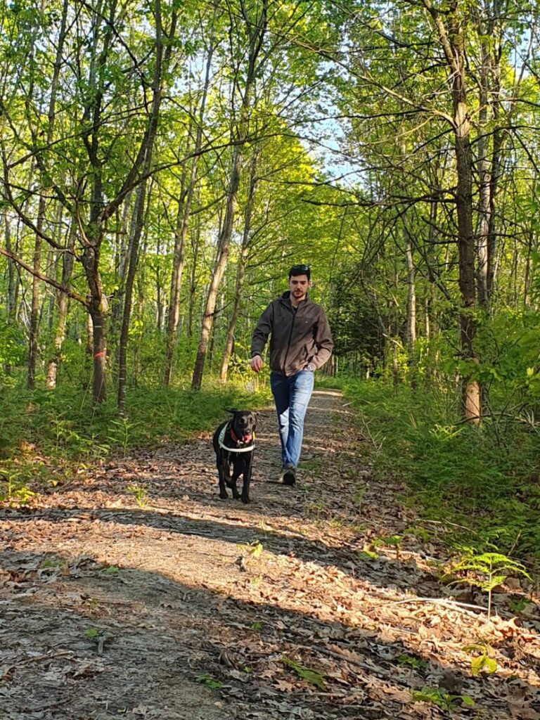 Une personne accompagnée d'un chien guide marche sur un chemin en forêt