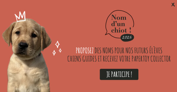 vignette nom d'un chiot 2025