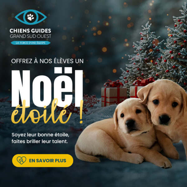 Noël étoilé, nouvelle campagne de don digitale