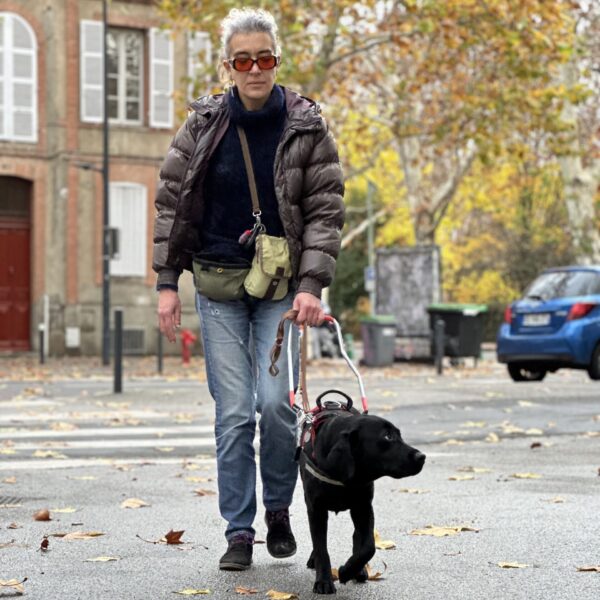 Une personne marche sur un trottoir en ville avec un chien guide noir en harnais