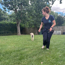 Arlo qui joue avec Orna dans le parc